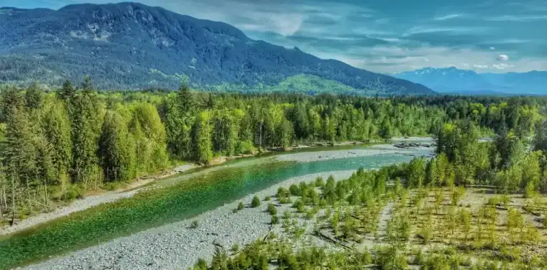 Chehalis River Campground river drone view