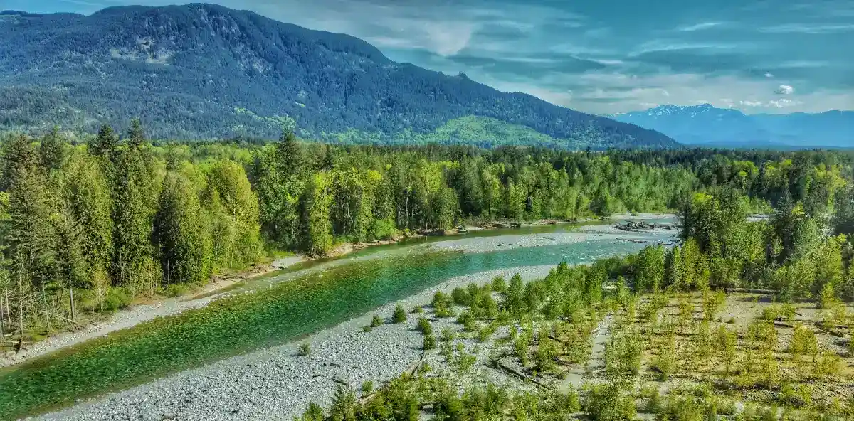 Chehalis River Campground river drone view