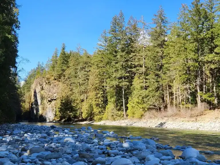 Chehalis River Group