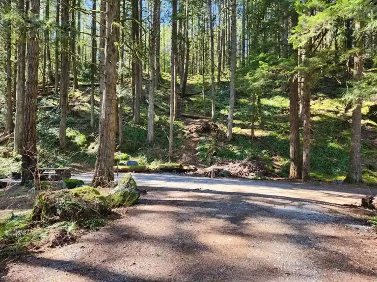 Chehalis River Group