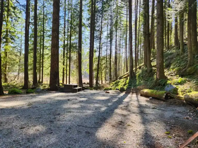 Chehalis River Group