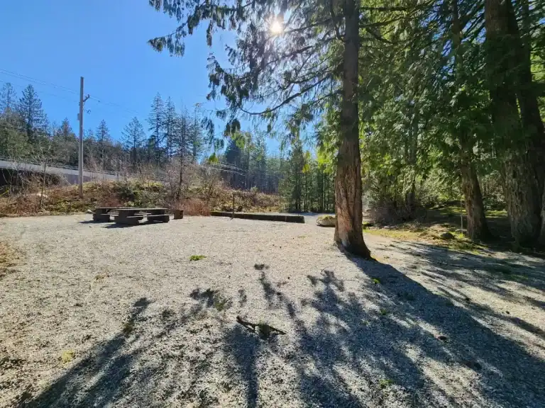 Chehalis River Group