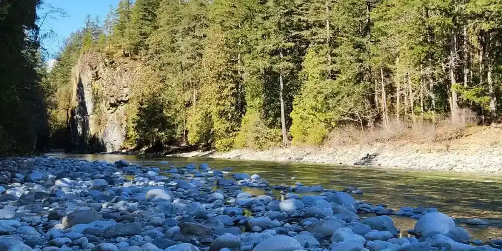 Chehalis River Group featured