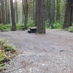 Chehalis campsite 03