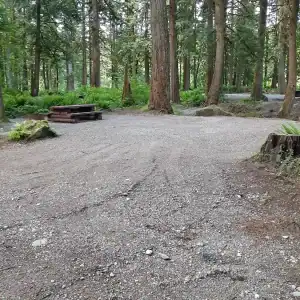 Chehalis campsite