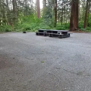 Chehalis campsite 06