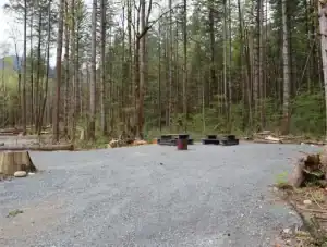 Chehalis campsite 102