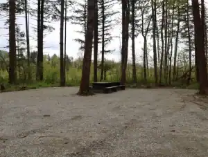 Chehalis campsite 104