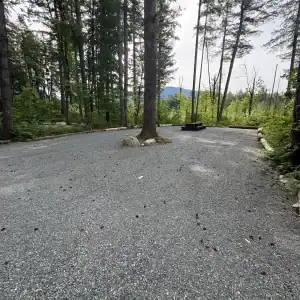 Chehalis campsite 108