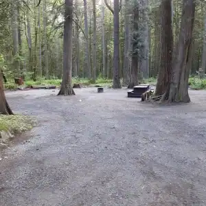 Chehalis campsite 13 14