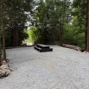 Chehalis campsite 134