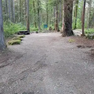 Chehalis campsite