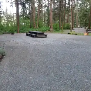 Chehalis campsite 17