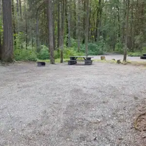 Chehalis campsite