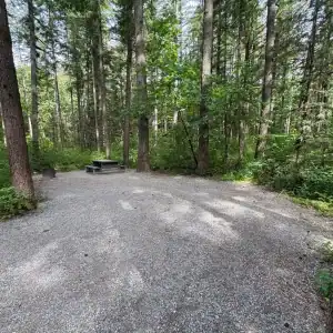 Chehalis campsite