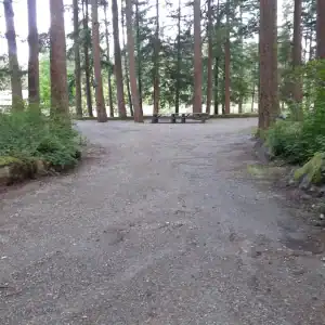 Chehalis campsite 24