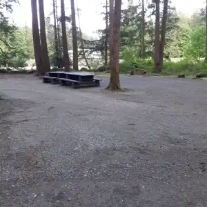 Chehalis campsite 26