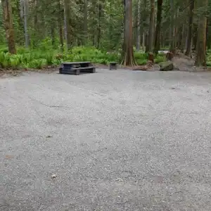 Chehalis campsite