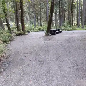 Chehalis campsite 43