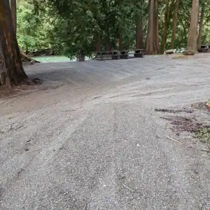 Chehalis campsite 49