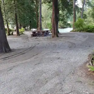 Chehalis campsite 53