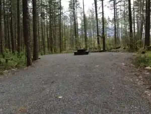 Chehalis campsite 68