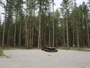 Chehalis campsite 86