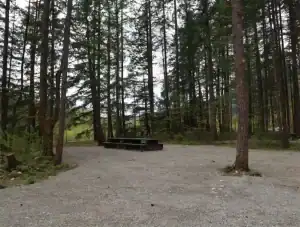 Chehalis campsite 90