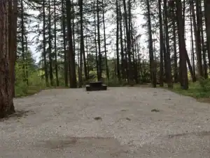 Chehalis campsite 92