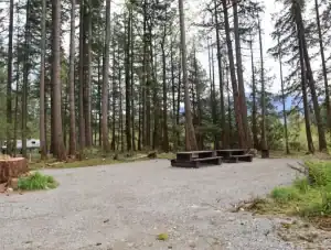 Chehalis campsite 96