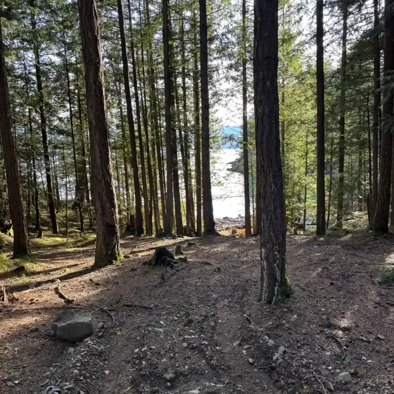 Ten Mile Bay South Group 04 construction