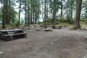 Twenty Mile Bay site 17