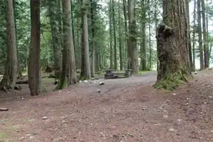 Twenty Mile Bay site