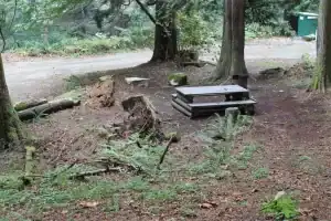 Twenty Mile Bay site