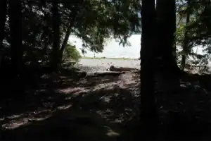 Twenty Mile Bay site