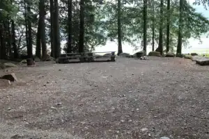 Twenty Mile Bay site 50