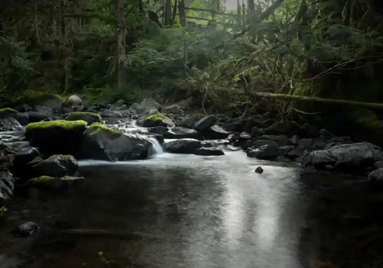 Weaver Creek Group Site