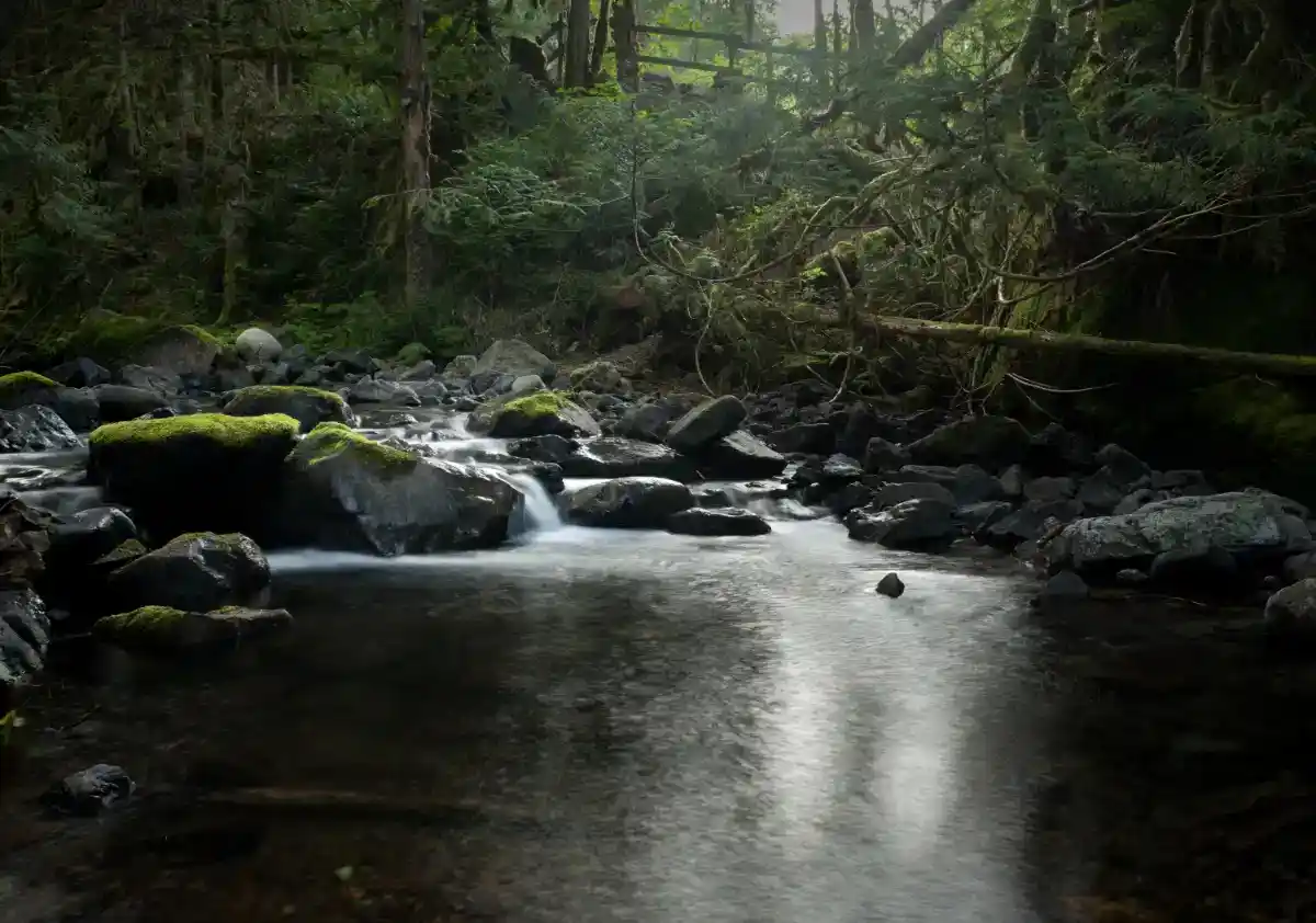 Weaver Creek Group Site