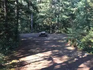 Wood Lake Campground site 08