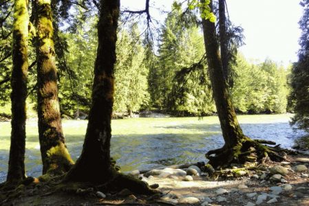Chehalis River Campground