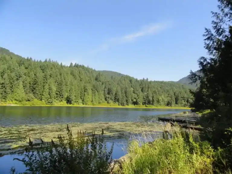 Grace lake campground