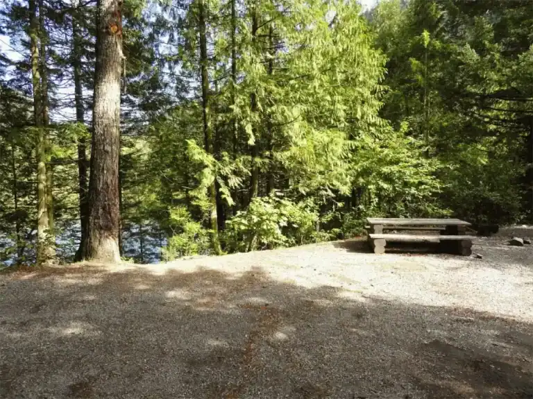 Wolf lake group site