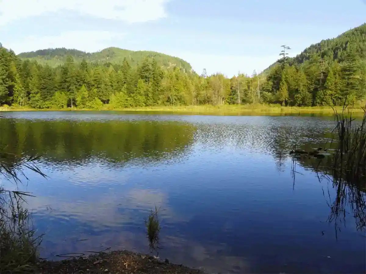 Wolf lake group site